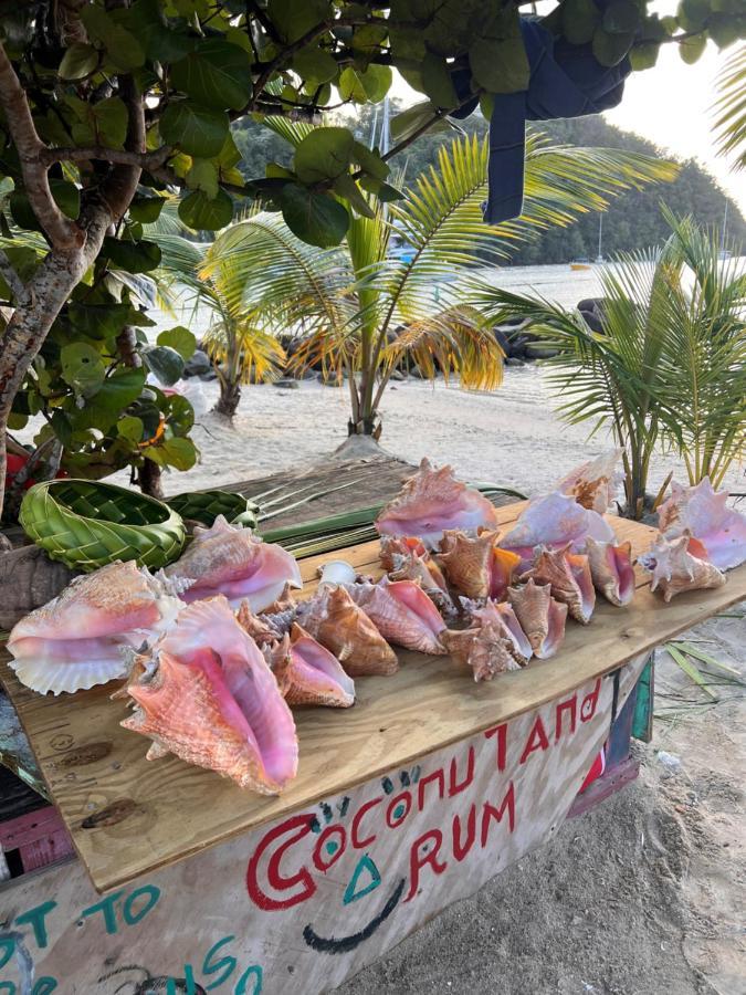 Hotel Casa Del Vega A Little Peace Of Heaven Castries Exterior foto