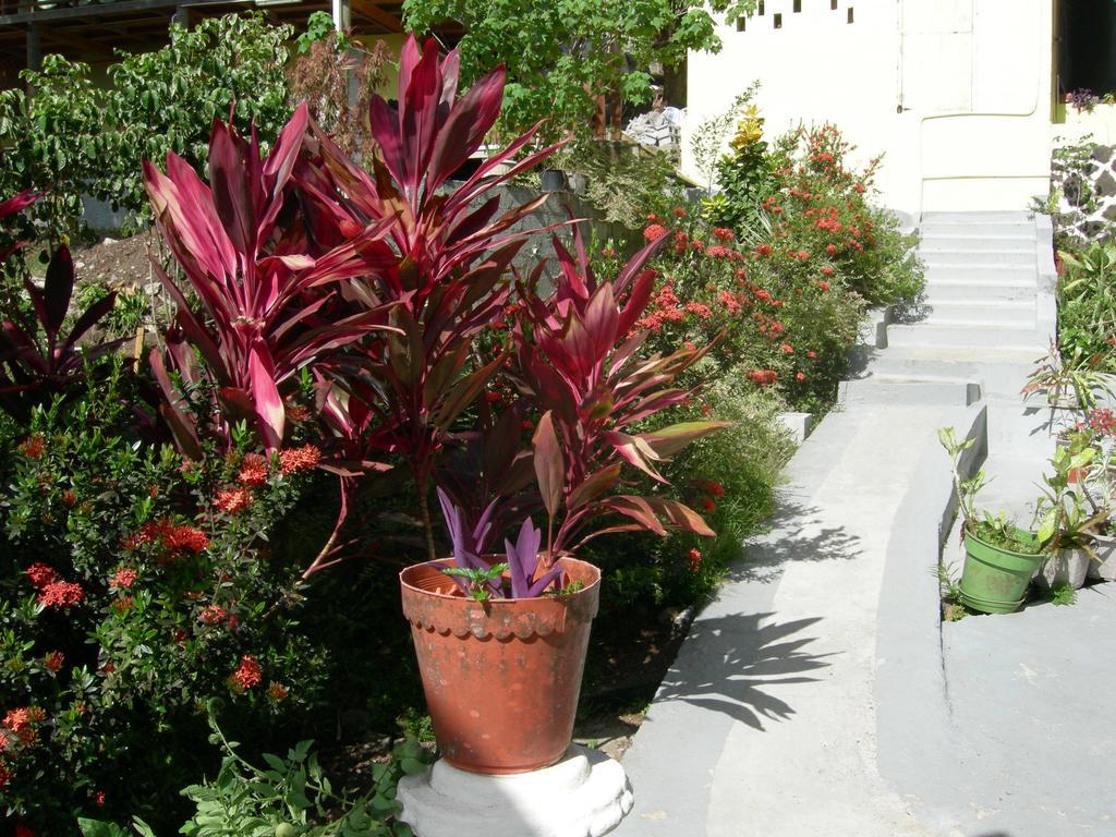 Hotel Casa Del Vega A Little Peace Of Heaven Castries Exterior foto
