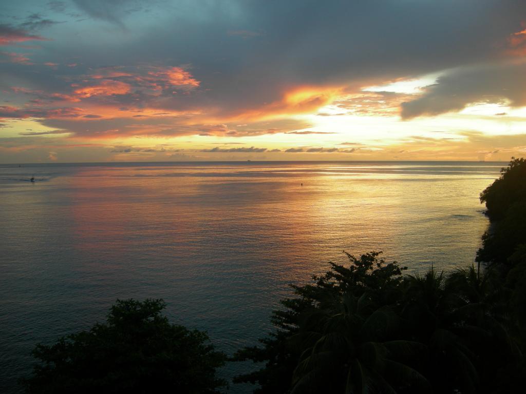 Hotel Casa Del Vega A Little Peace Of Heaven Castries Habitación foto